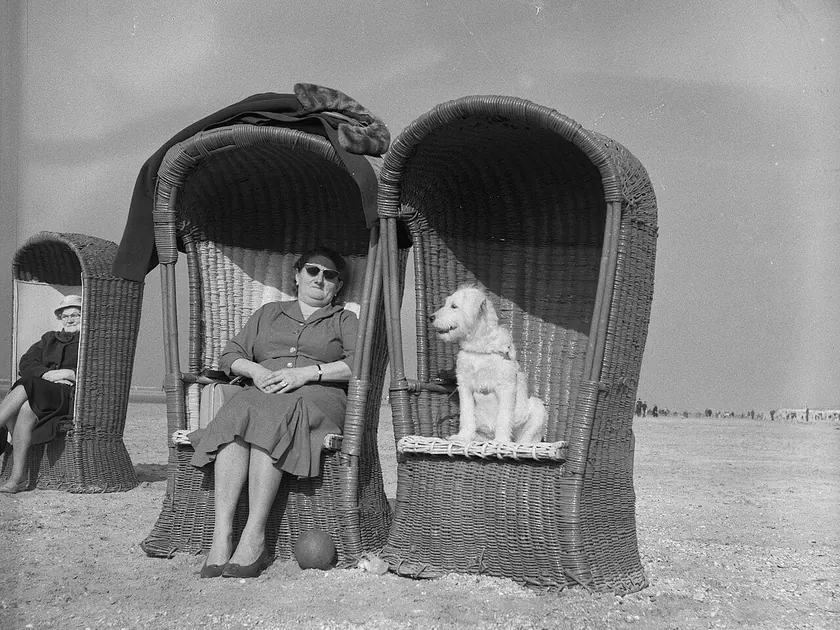 Mooi weer aan het strand te Zandvoort Bazin en hond in strandstoel